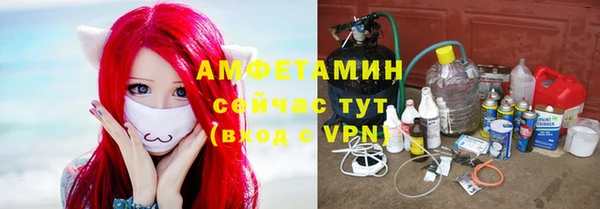 мяу мяу мука Великий Новгород