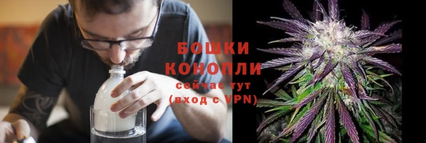 дживик Грязи