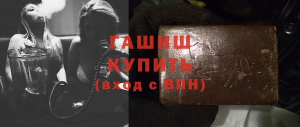 гашик Алексин