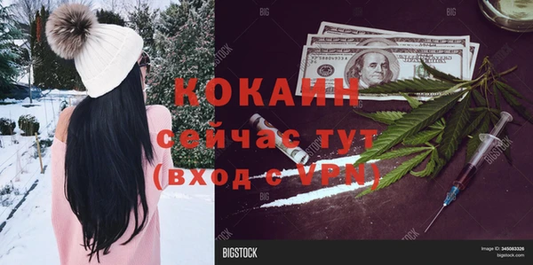 прущие крисы Губаха