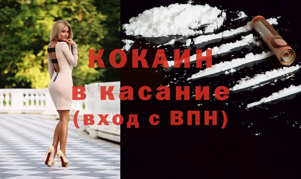 гашик Алексин