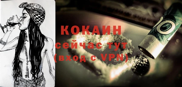 прущие крисы Губаха