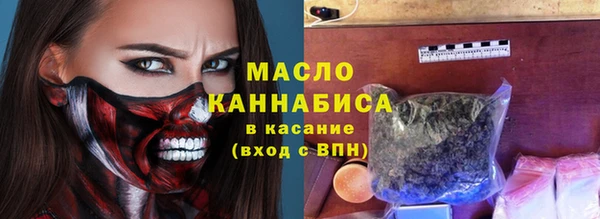 гашик Грязовец